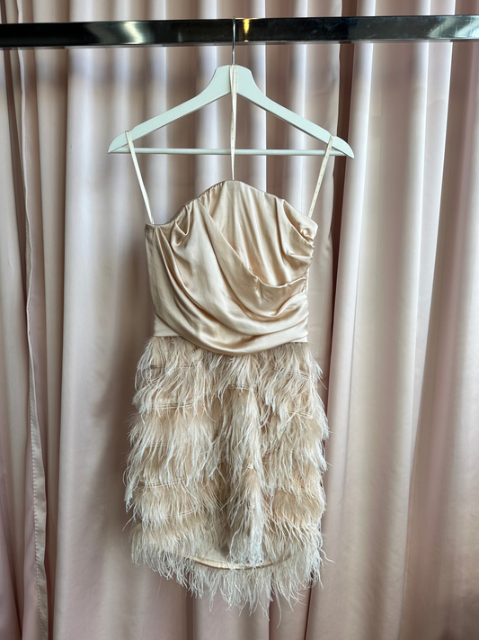 Elisabetta Franchi Silk and Feather Dress